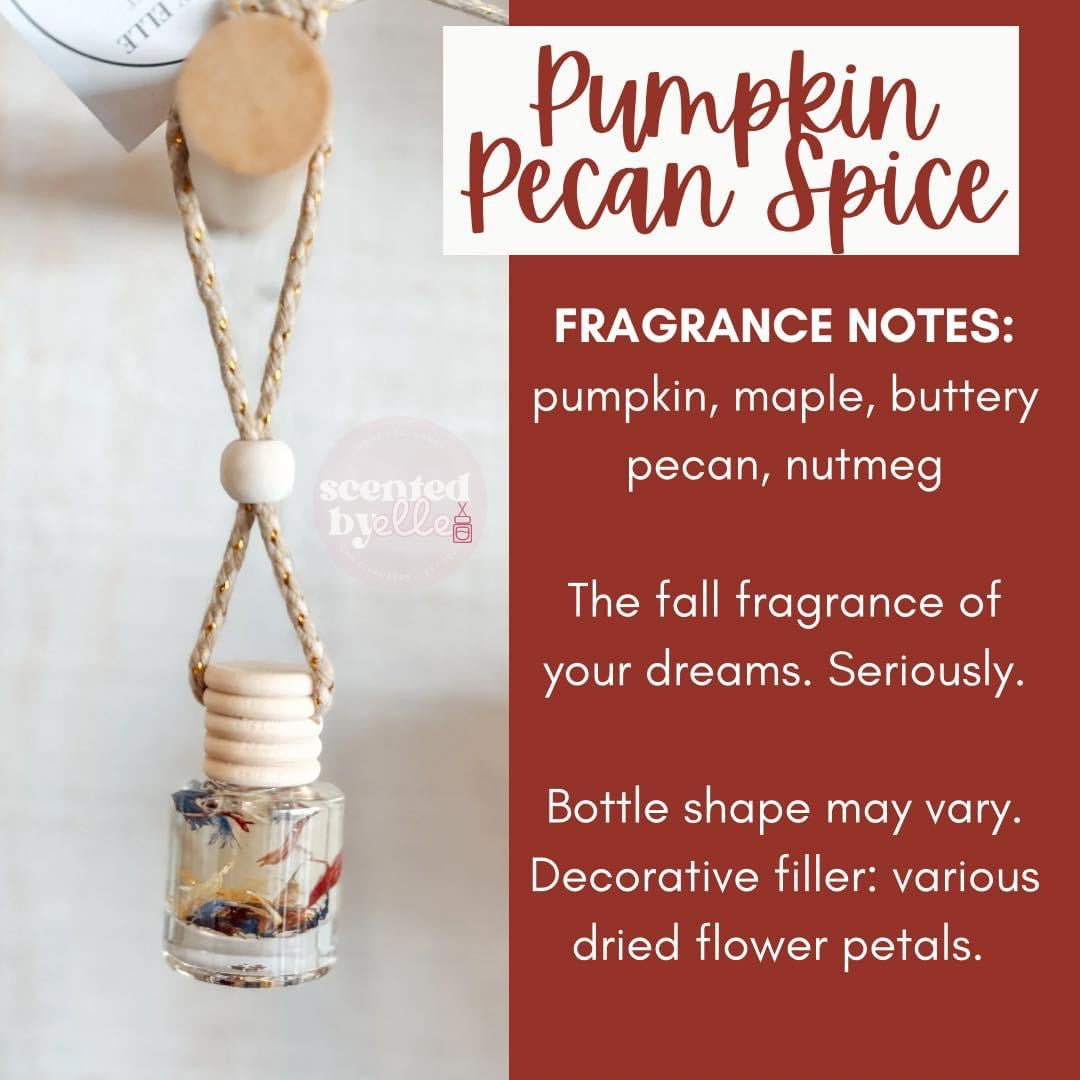 Pumpkin Pecan Spice Hanging Car Diffusers