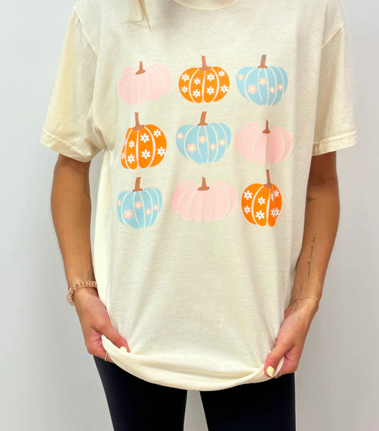 Pastel Pumpkins small